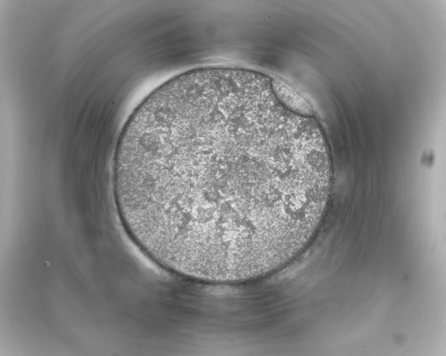 X0000090451239200708102042