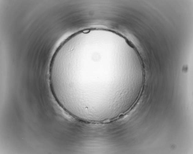 X0000090451240200708102042