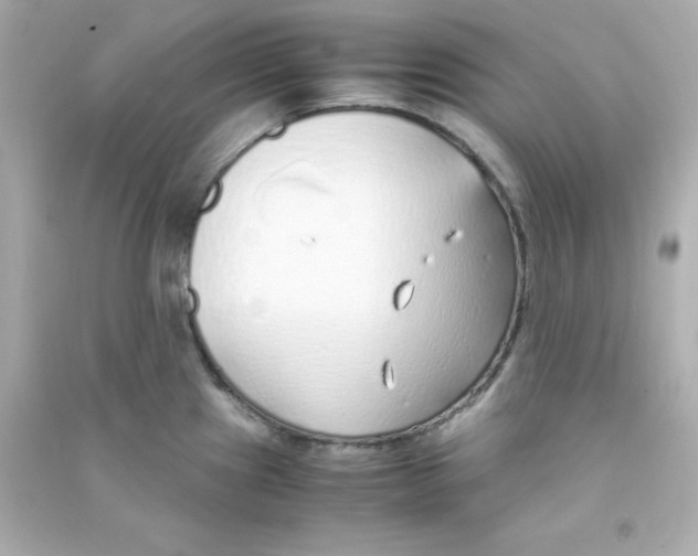 X0000090451241200708102042