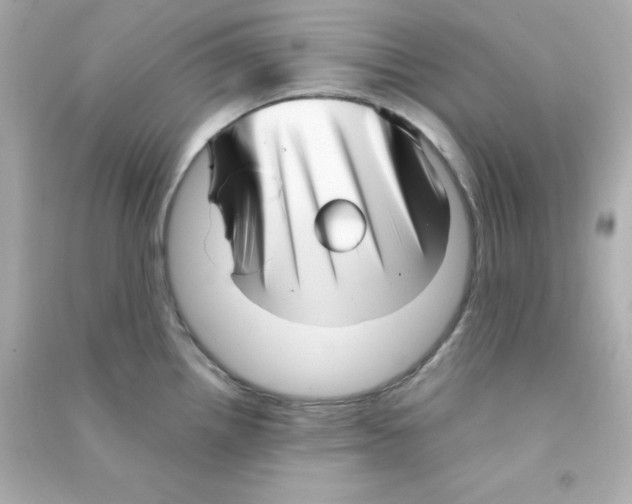 X0000090451242200708102042