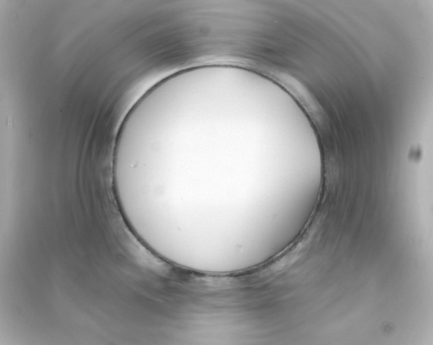 X0000090451244200708102042