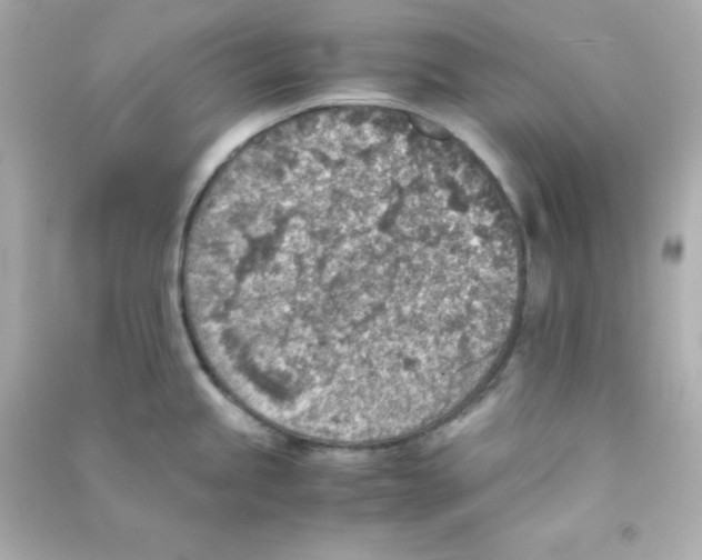 X0000090451245200708102042