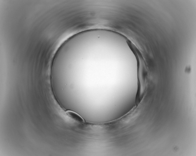 X0000090451246200708102042