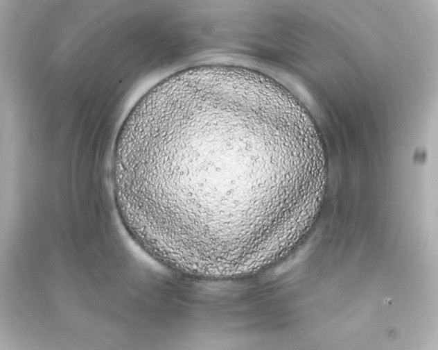 X0000090451247200708102042