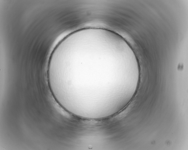 X0000090451248200708102042