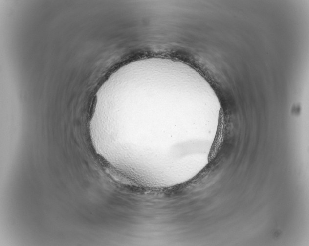 X0000090451249200708102041