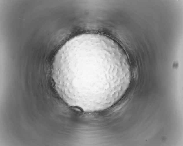 X0000090451251200708102041