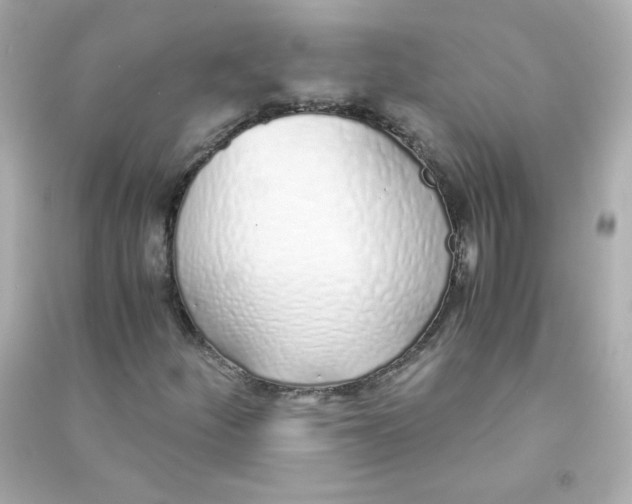 X0000090451252200708102041