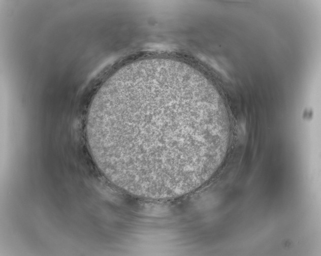 X0000090451254200708102041