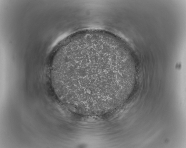 X0000090451255200708102041