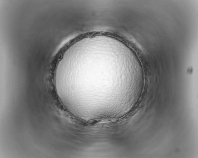 X0000090451256200708102041