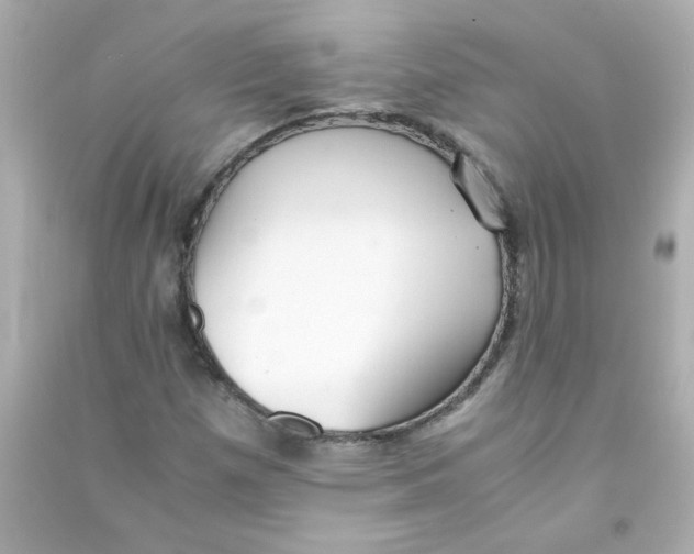 X0000090451257200708102041