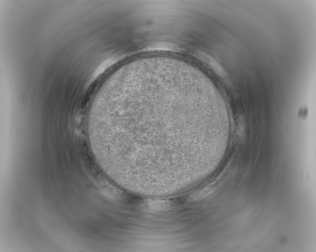 X0000090451258200708102041