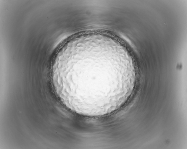 X0000090451259200708102041