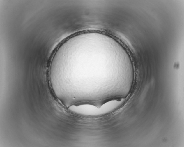 X0000090451260200708102041