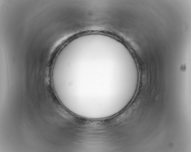 X0000090451262200708102041