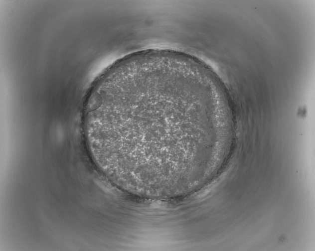 X0000090451263200708102041