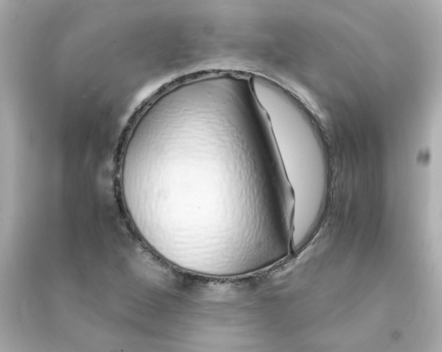 X0000090451264200708102041