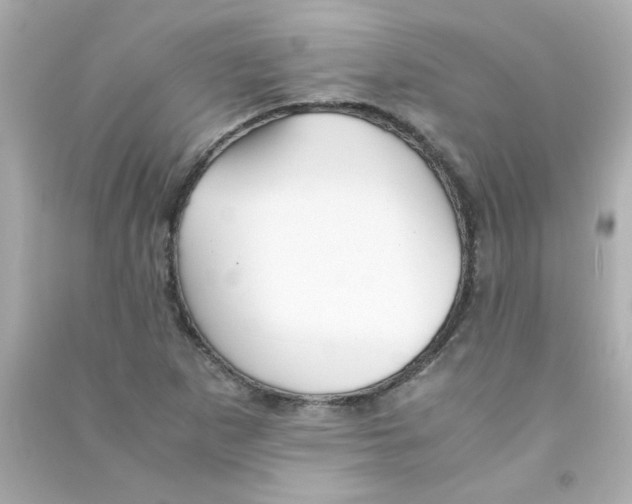 X0000090451265200708102041