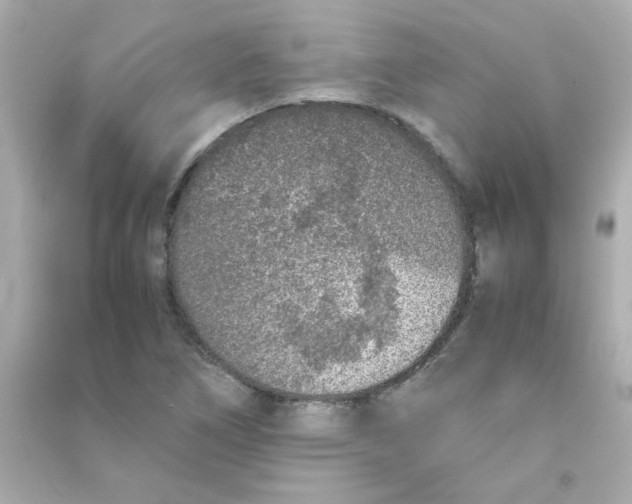 X0000090451266200708102041