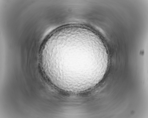 X0000090451267200708102041