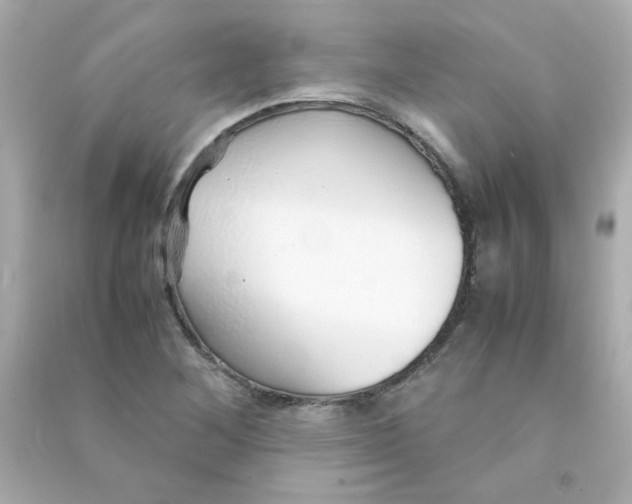 X0000090451268200708102041