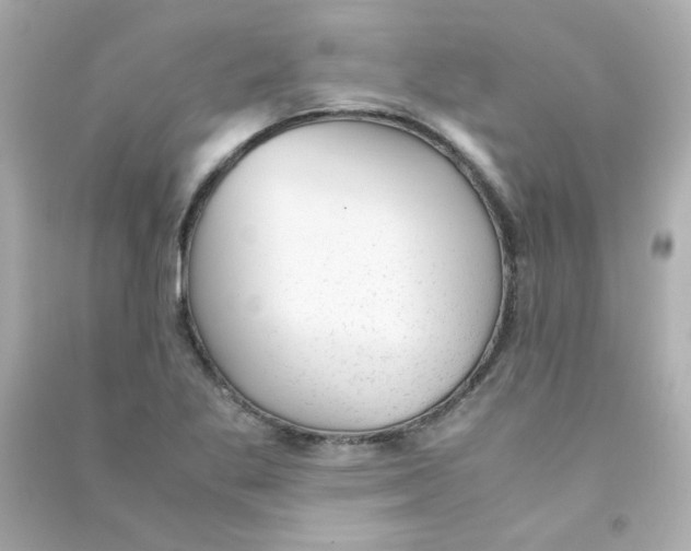 X0000090451269200708102041