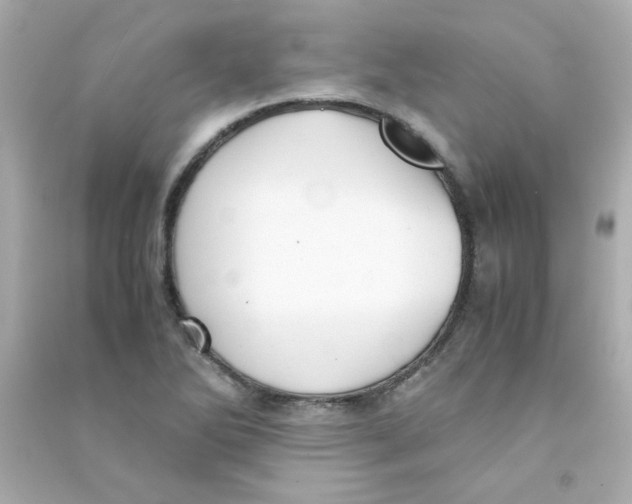 X0000090451270200708102041