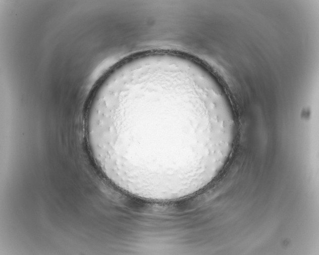 X0000090451271200708102041