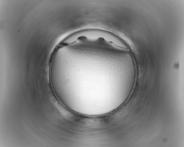 X0000090451272200708102041