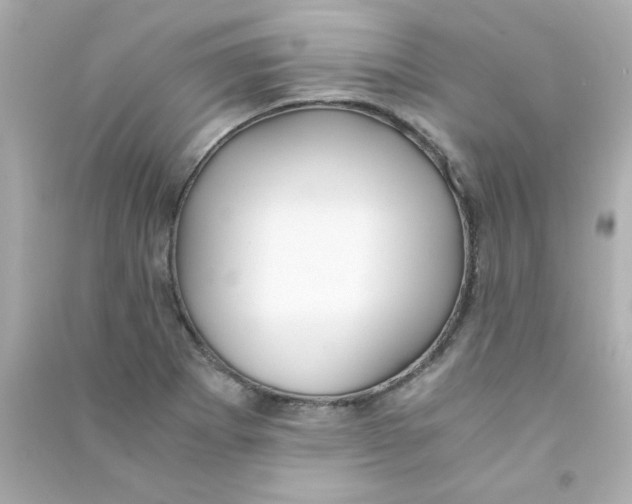 X0000090451273200708102041