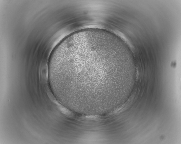 X0000090451274200708102041