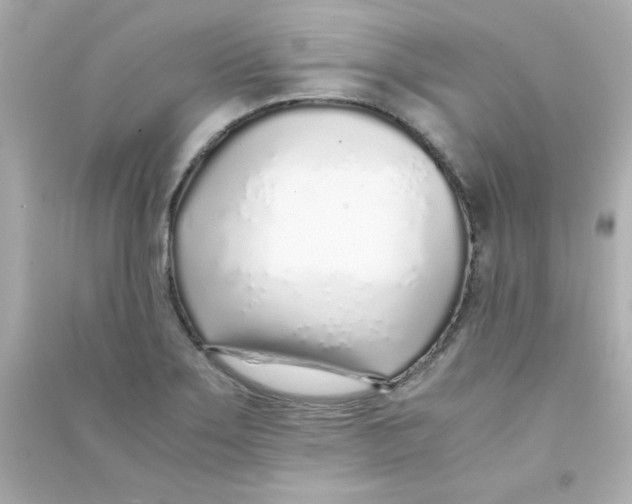 X0000090451275200708102041