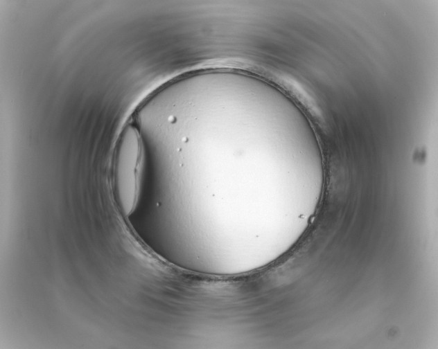 X0000090451276200708102041