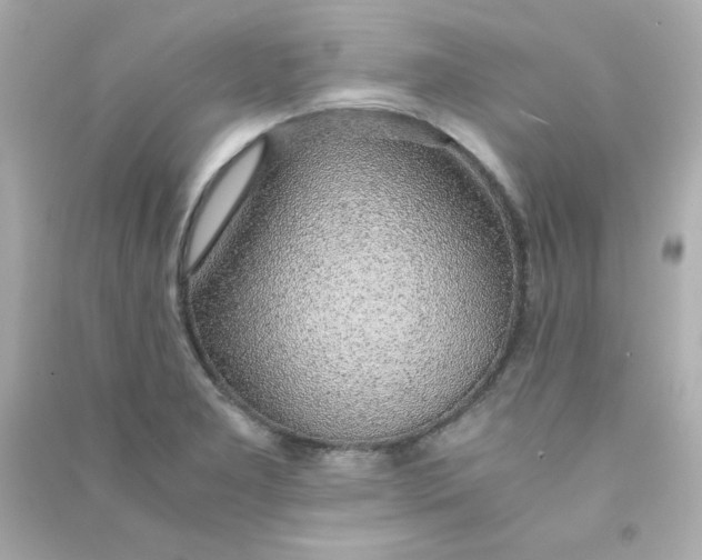 X0000090451277200708102041