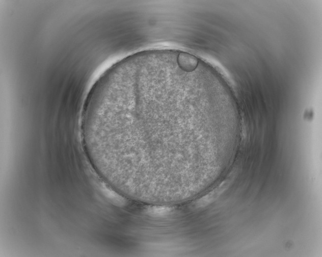 X0000090451278200708102041