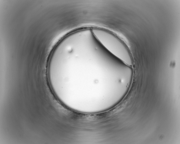 X0000090451279200708102041