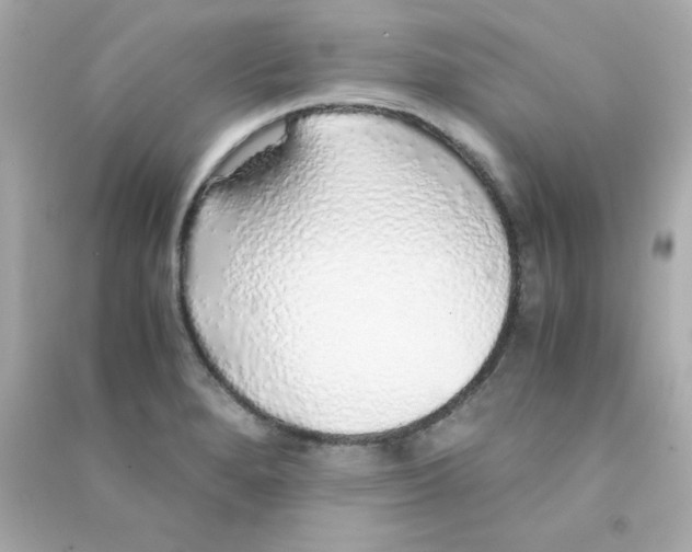 X0000090451280200708102041