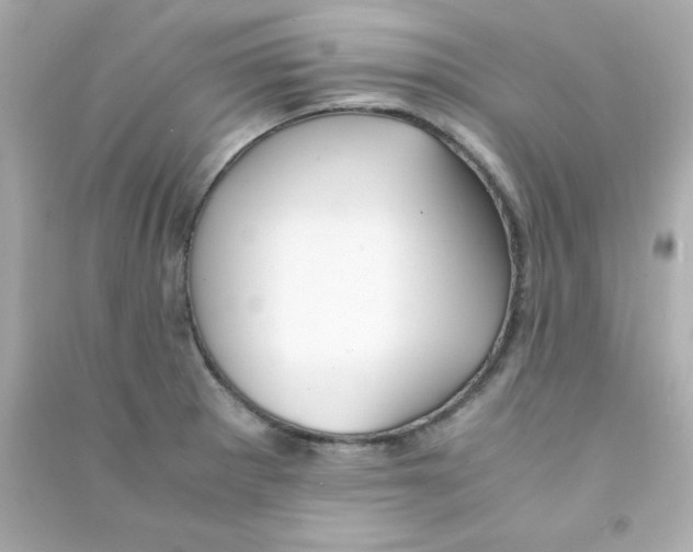 X0000090451281200708102041