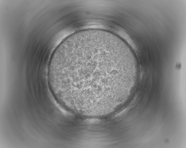 X0000090451282200708102041