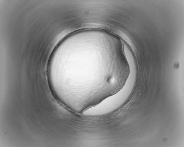 X0000090451283200708102041