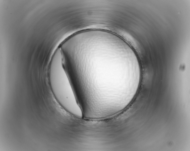 X0000090451284200708102041