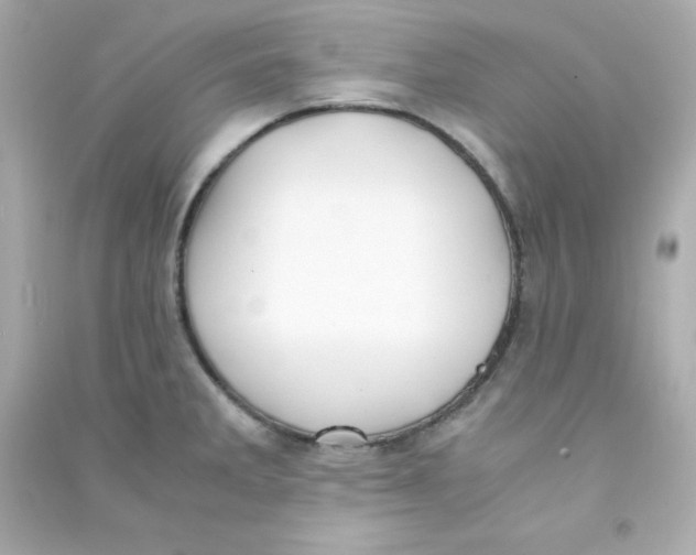 X0000090451285200708102041