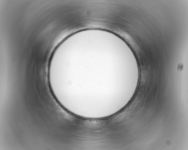 X0000090451286200708102041