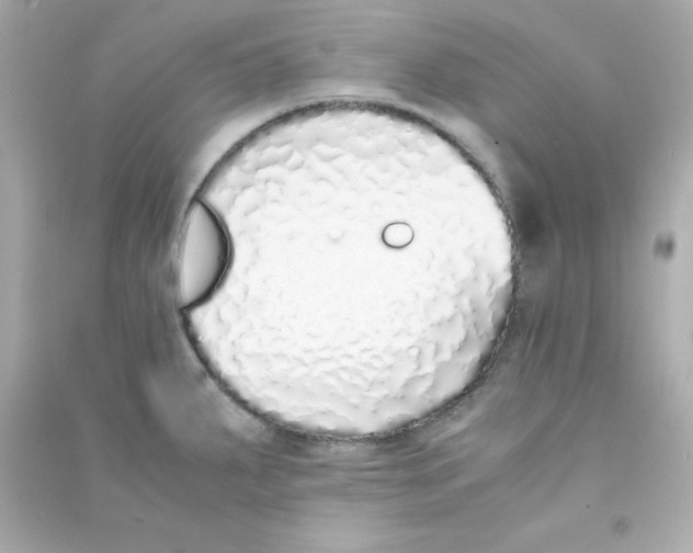 X0000090451287200708102041