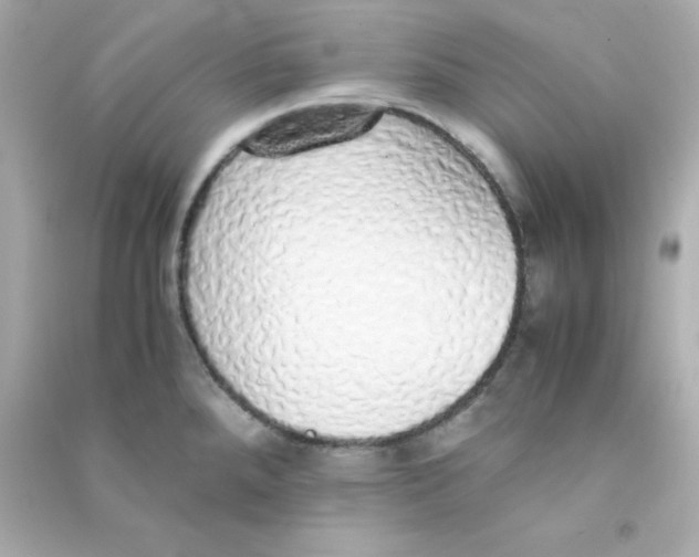 X0000090451288200708102041