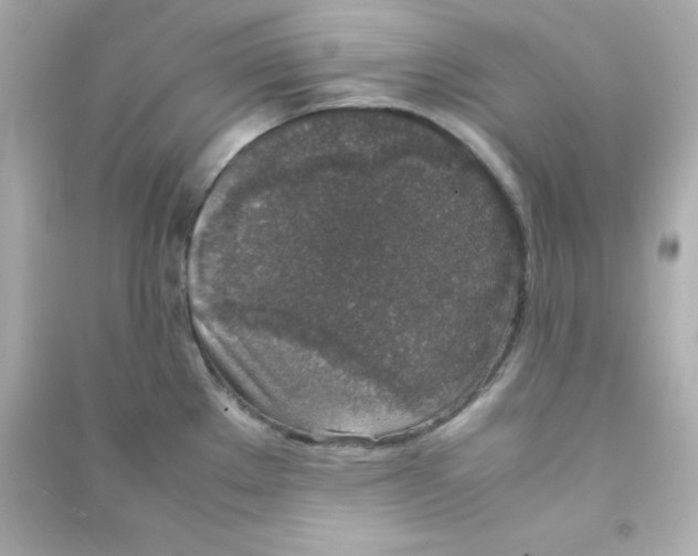 X0000090451289200708102041