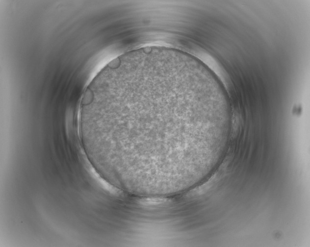 X0000090451290200708102041