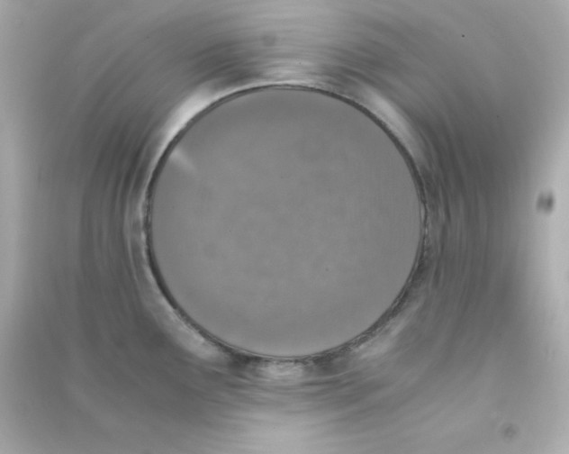 X0000090451291200708102041