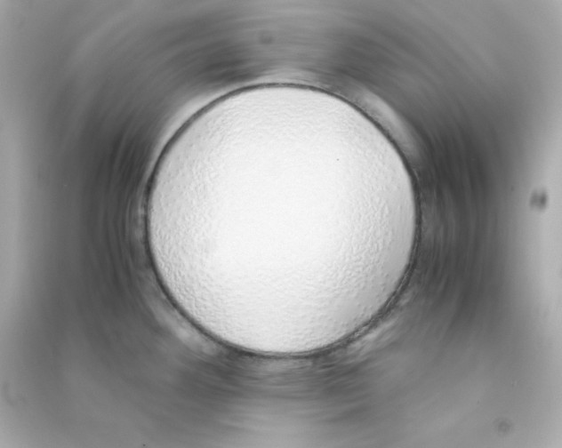 X0000090451292200708102041